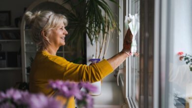 window cleaning brampton