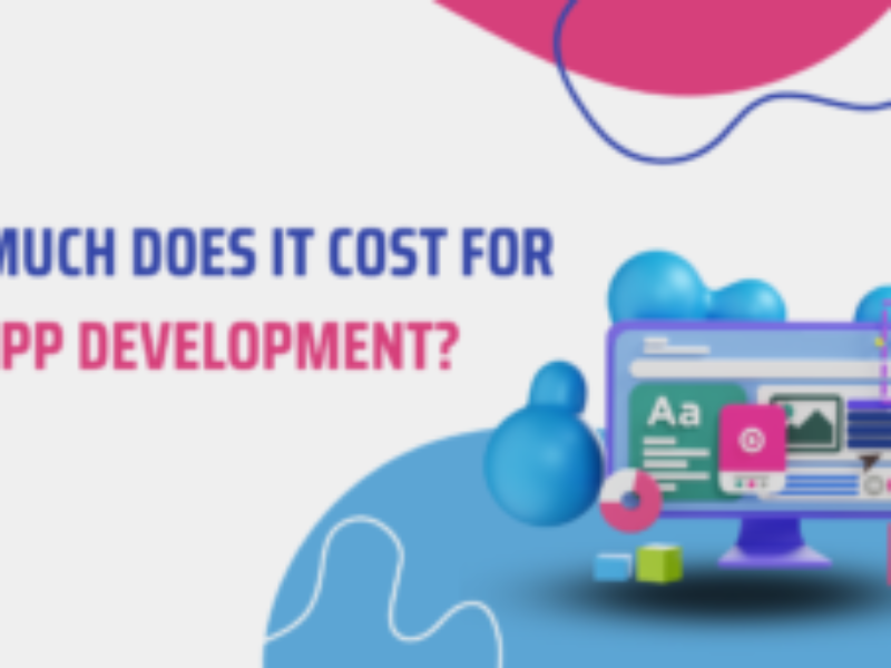 Web app development cost