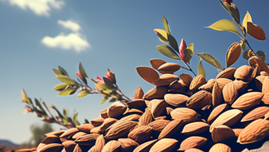 Harvesting Success: Top 10 Almond Producing States in India