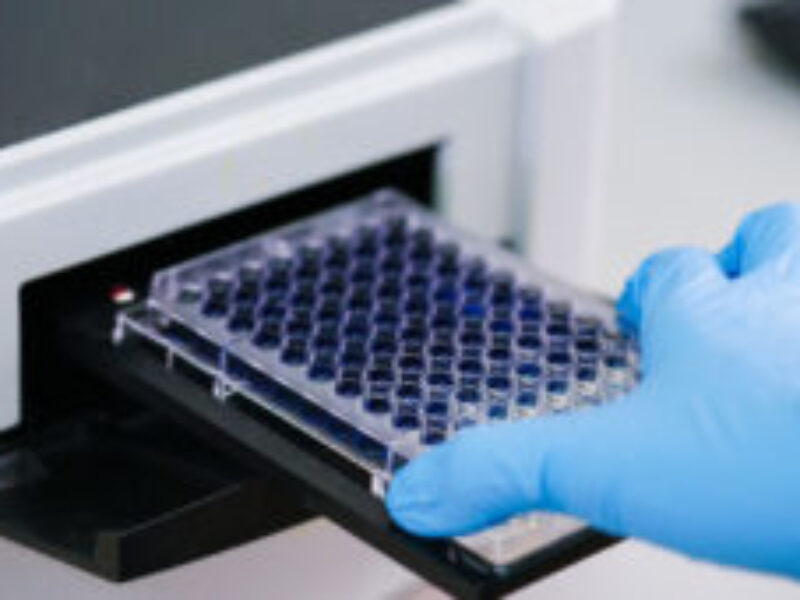 ELISA Testing Services